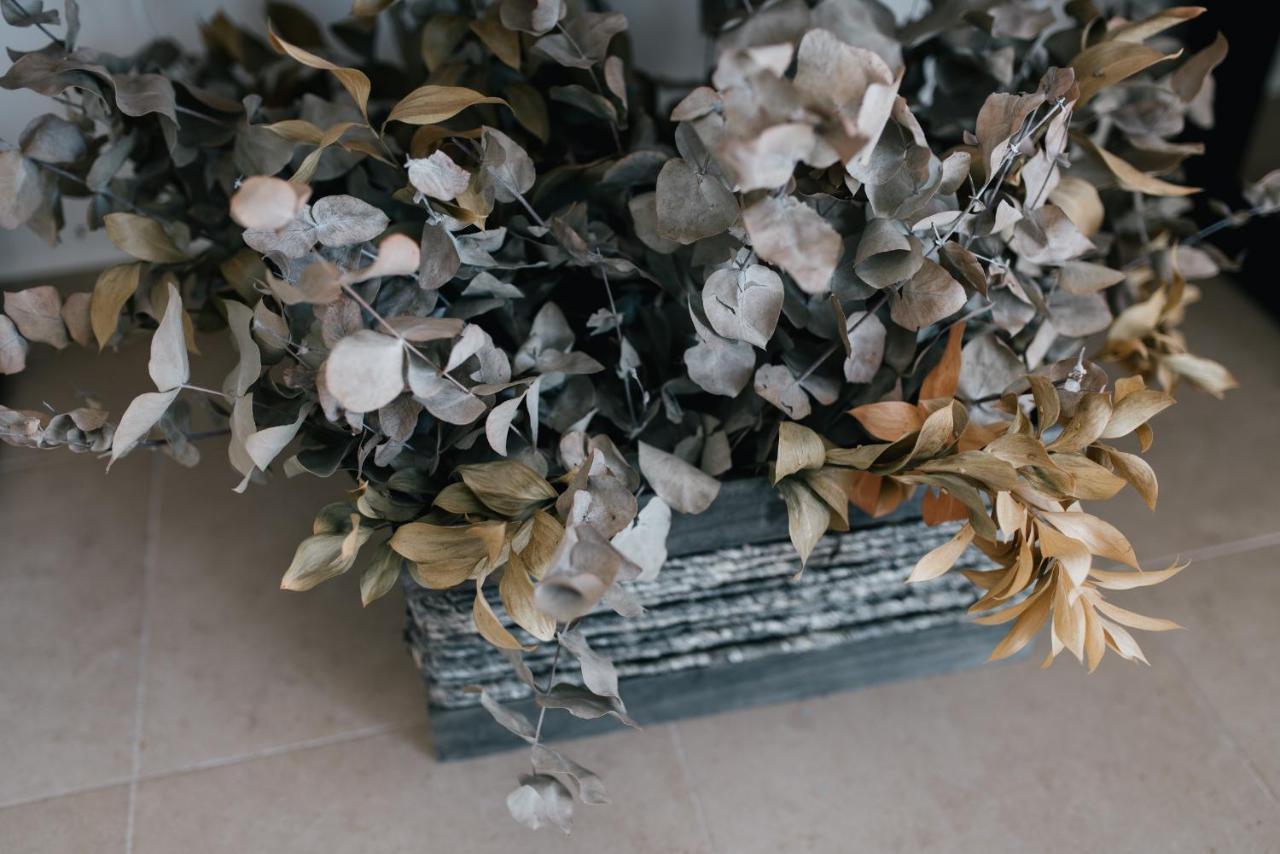 Eva Recommends Capilla De La Jura En Jerez Διαμέρισμα Χέρεζ Εξωτερικό φωτογραφία